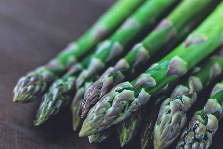 Image of Coriander good companion plants for asparagus