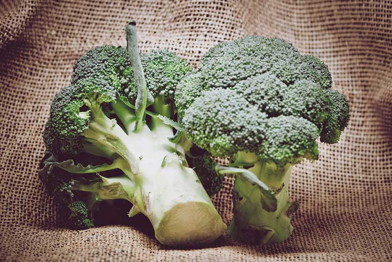 Broccoli Companion Planting Chart