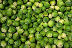 Plant brussels sprouts