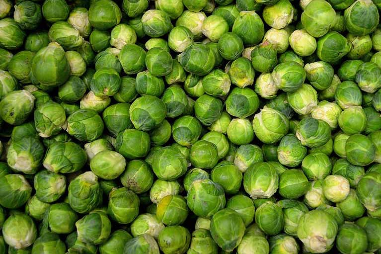Plant brussels sprouts