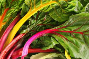 Plant chard