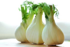 Plant fennel