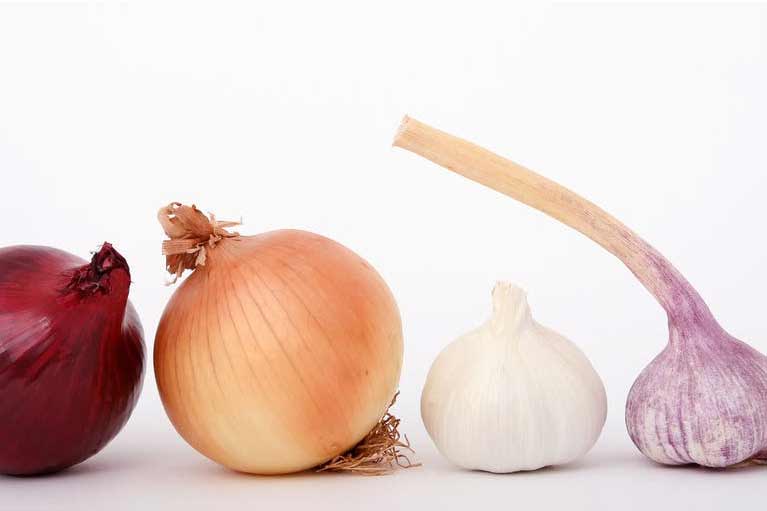 Plant onions