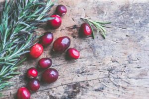 Plant rosemary