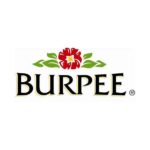 Burpee Seeds