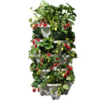 Mr. Stacky 5 Tiered Vertical Gardening Planter